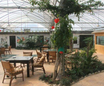 生態(tài)餐廳