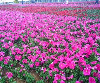 牽?；ɑê?></div>

                <div   id=